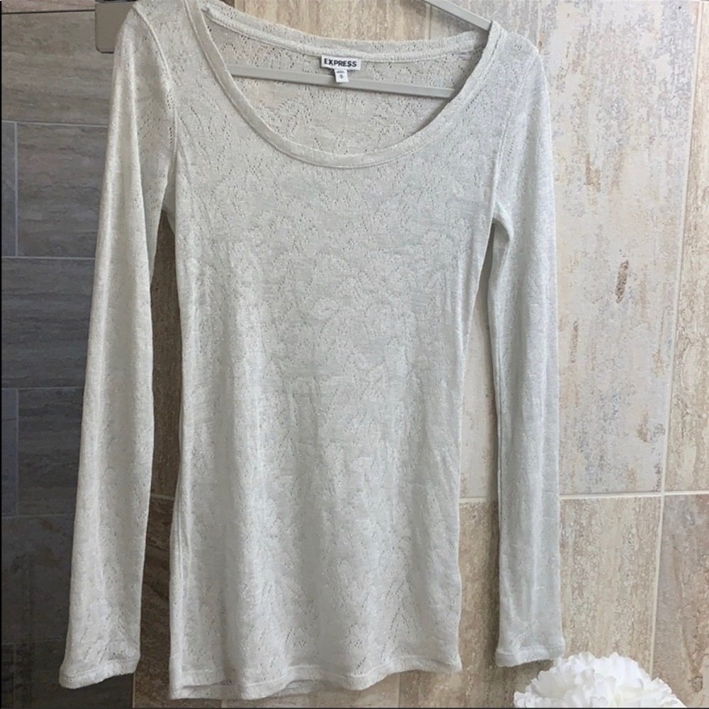 Semi Sheer Long Sleeve Top